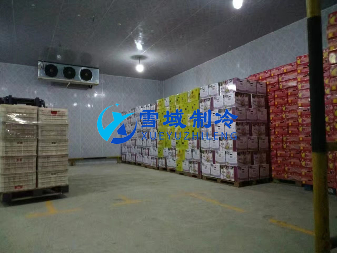 南京某水果公司450平米水果冷庫案例