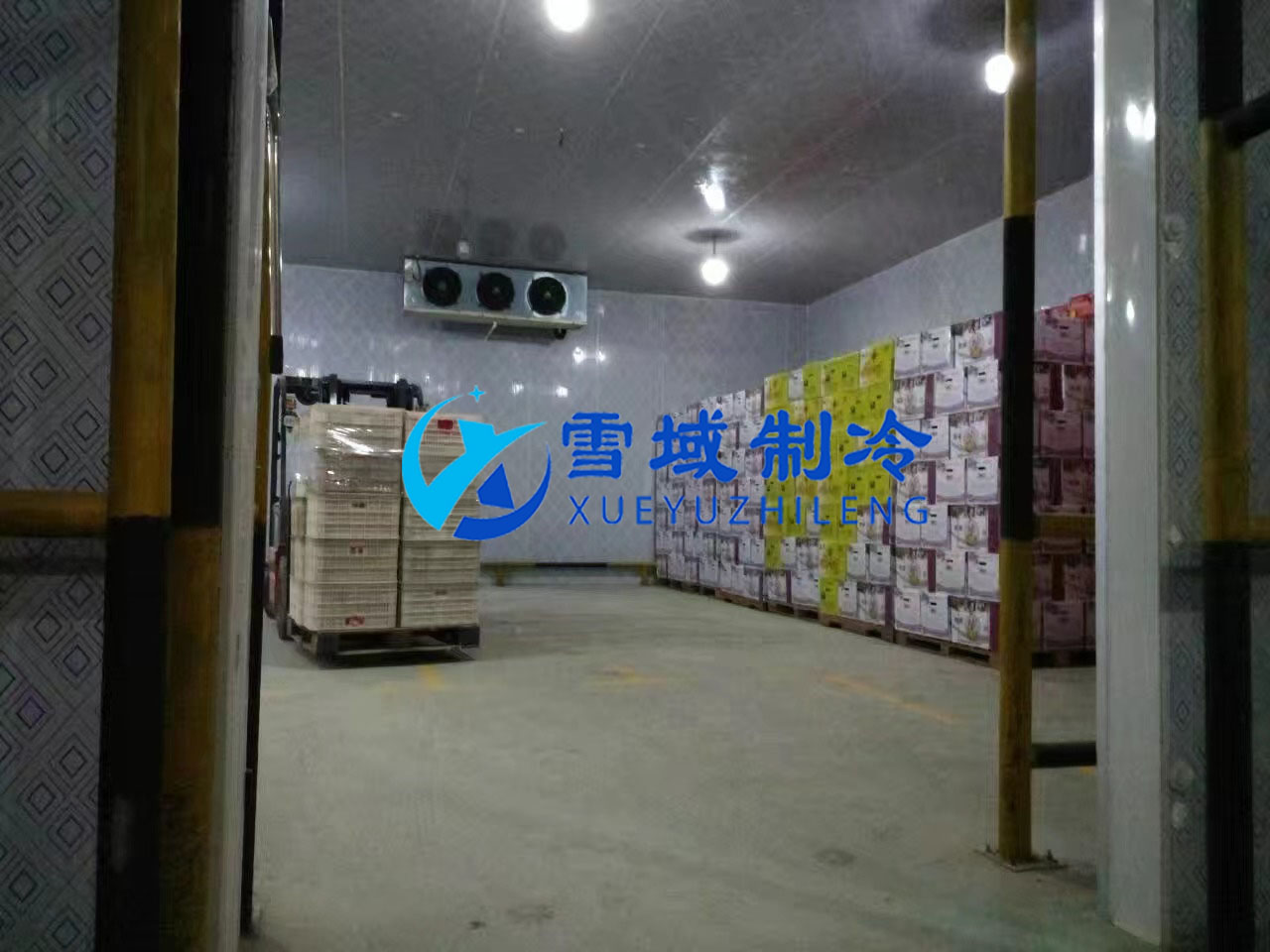 南京某水果公司水果冷庫現場圖片