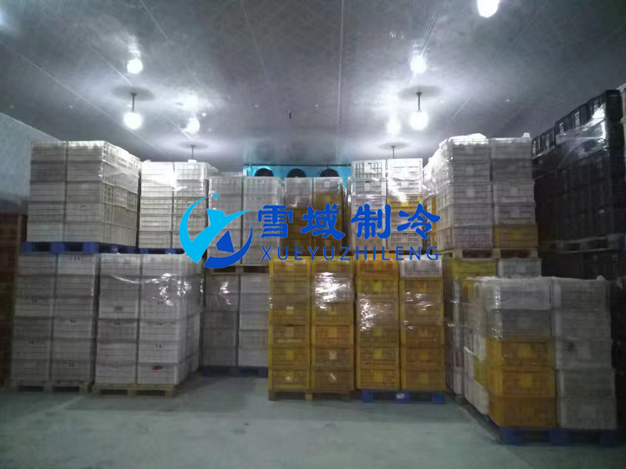 南京某水果公司水果冷庫現場圖片
