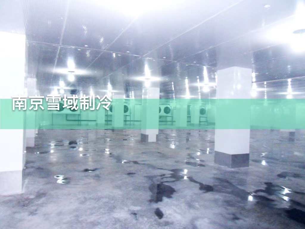 南京大型速凍乳品冷庫案例